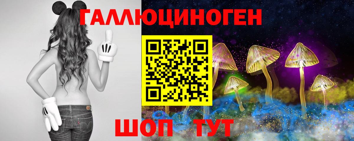 Первоуральск  Псилоцибиновые грибы мицелий  Вход с VPN 
